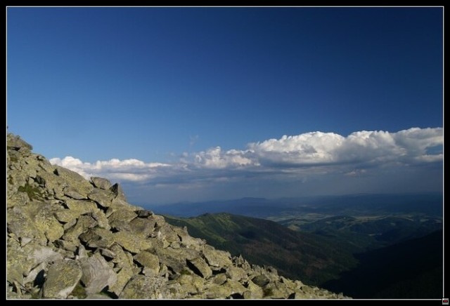 img00029.jpg