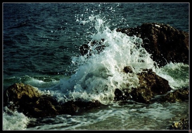 img00045.jpg