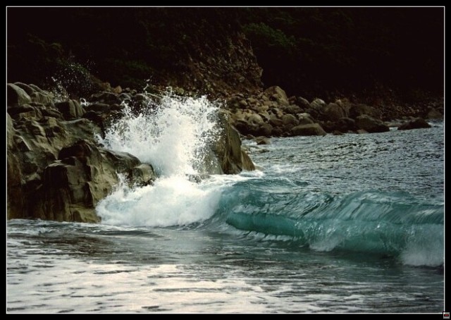 img00046.jpg